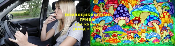 тгк Алексин