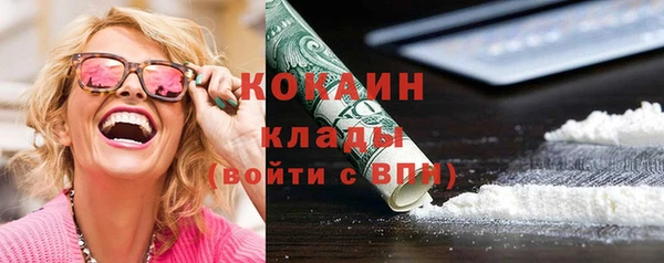 индика Алзамай